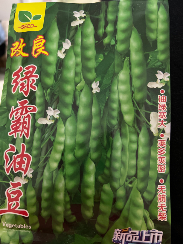 改良绿霸油豆角种子