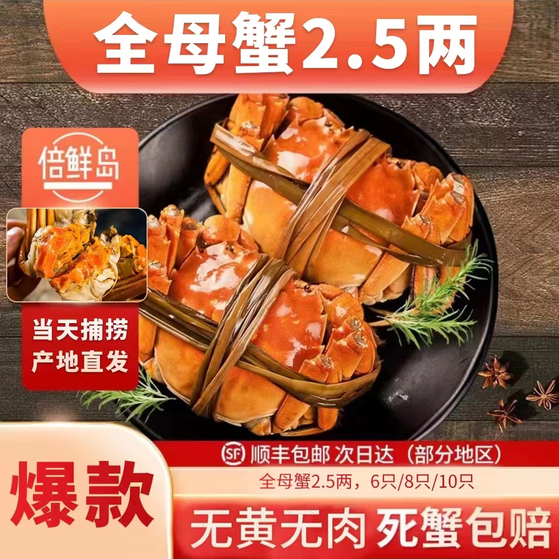【活蟹现发+送1只起】全母蟹2.5两6只装江苏兴化大闸蟹江浙沪皖包邮