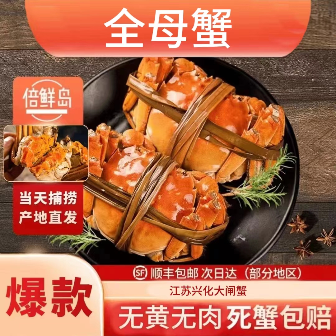 【活蟹现发簖腿】母蟹3.5两8只装江苏兴化大闸蟹鲜活顺丰京东