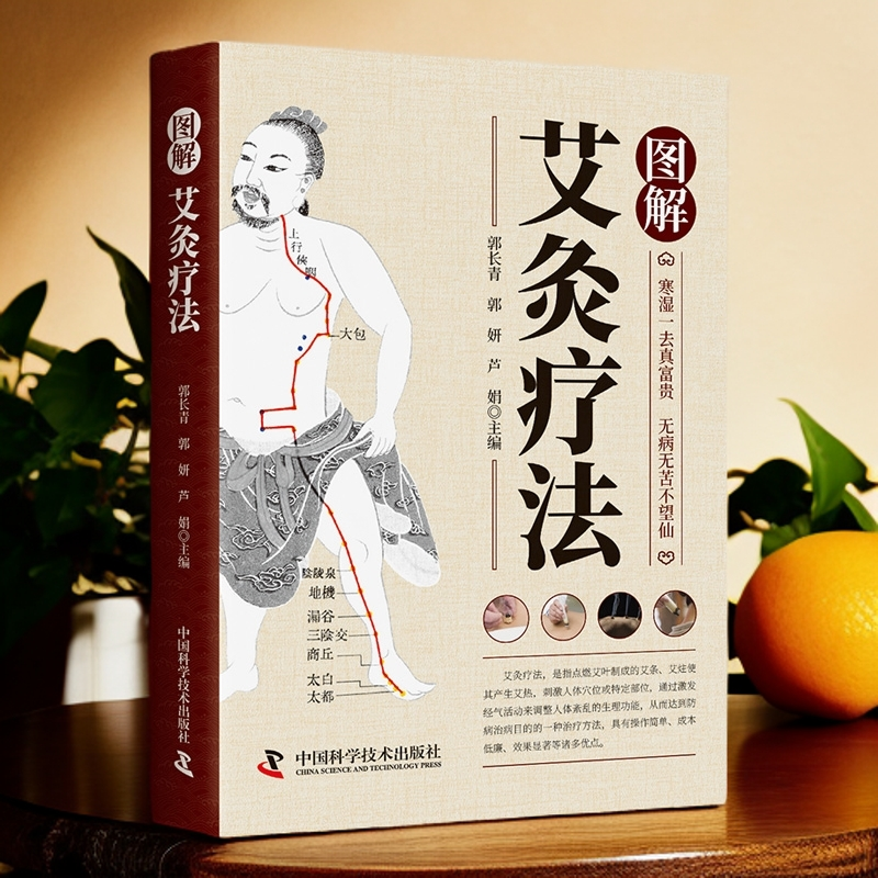 图解艾灸疗法三伏灸天灸夏季养生中医春夏养阳冬病夏治虚寒哮喘