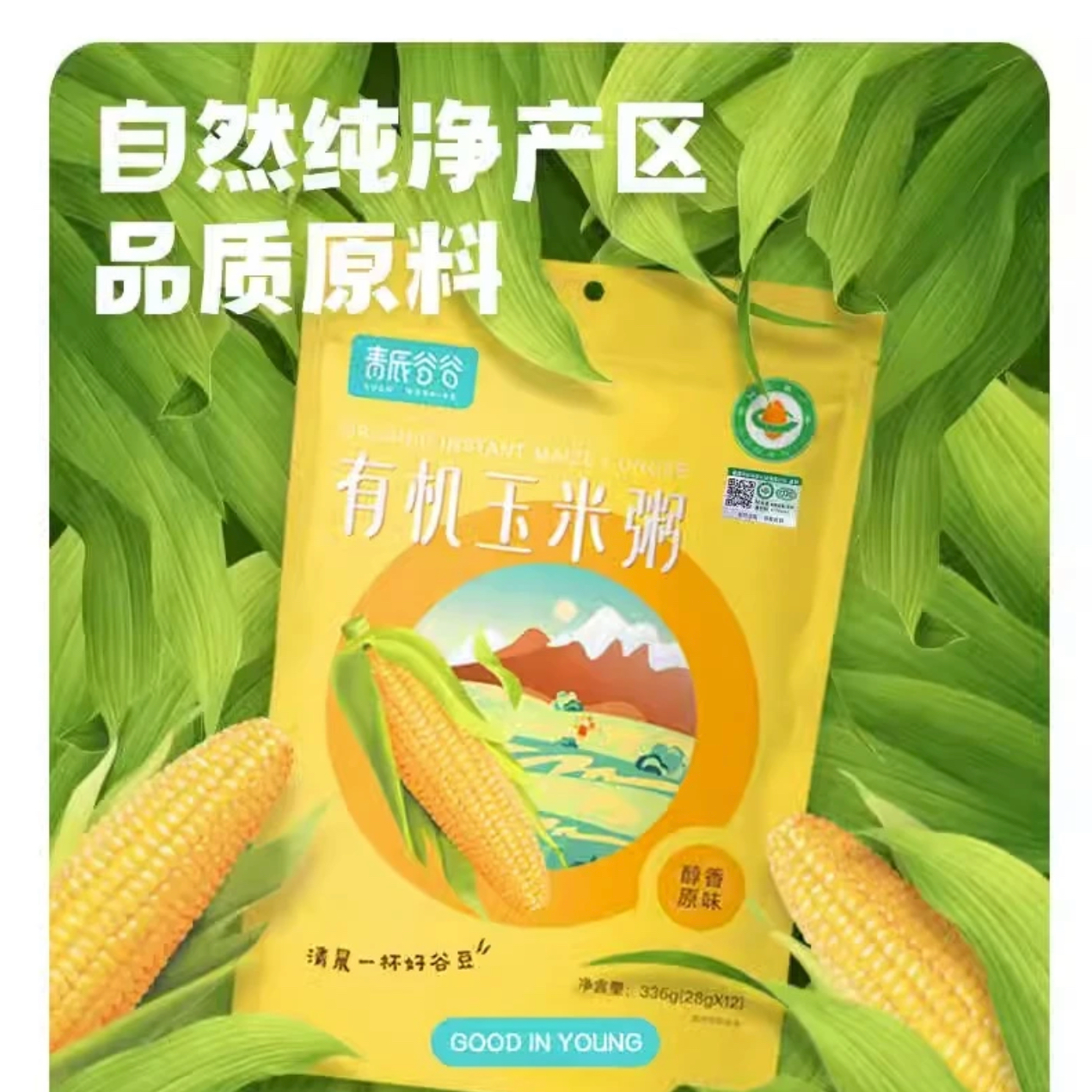 玉米粥椰奶新疆有机玉米碴粗粮早餐即食粥