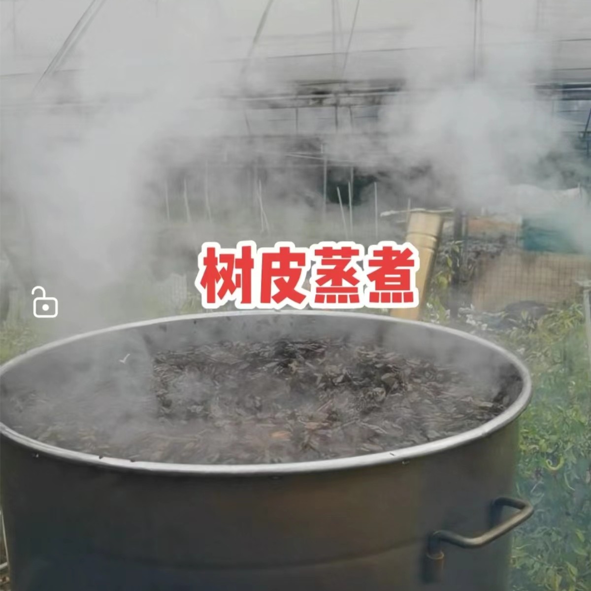 兰花3年腐熟杀菌松树皮（1.5升）