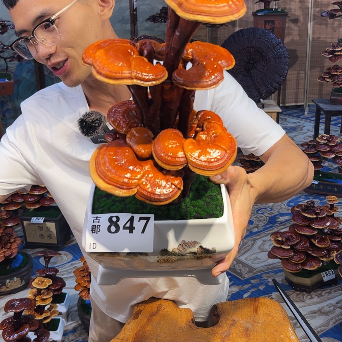 【闪购商品】88888
