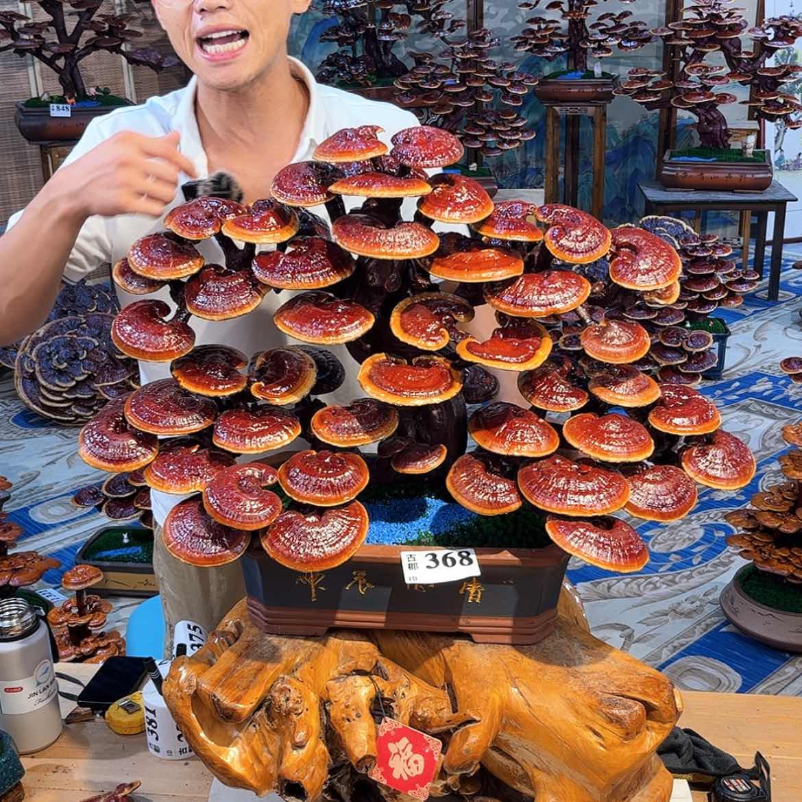 【闪购商品】888888