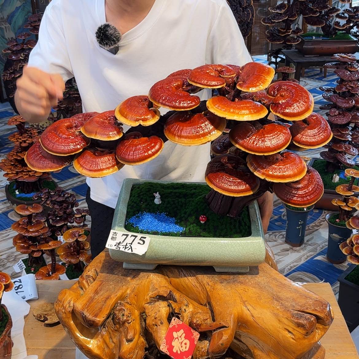 【闪购商品】88888