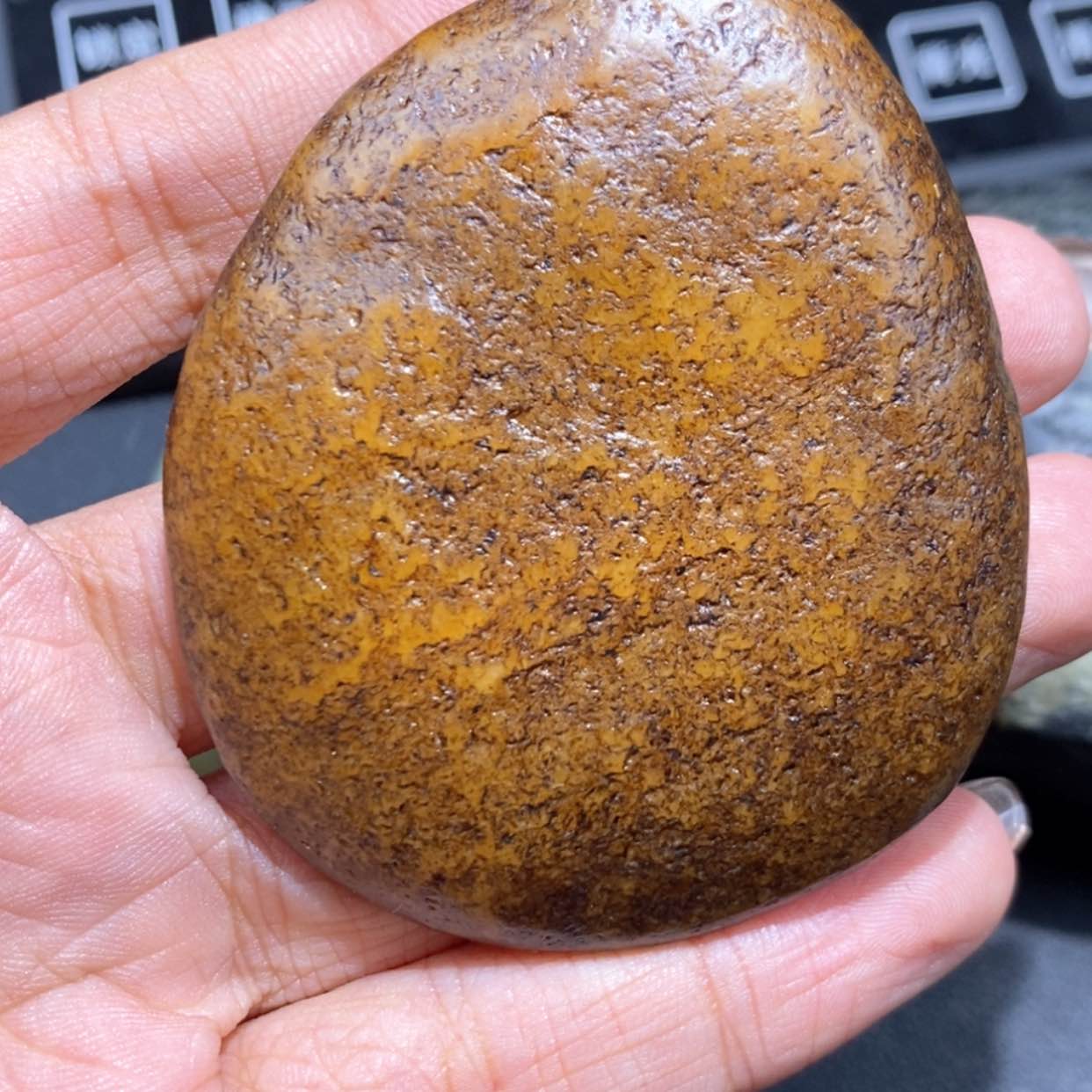 【闪购商品】和田玉（糖玉）颈饰未镶嵌