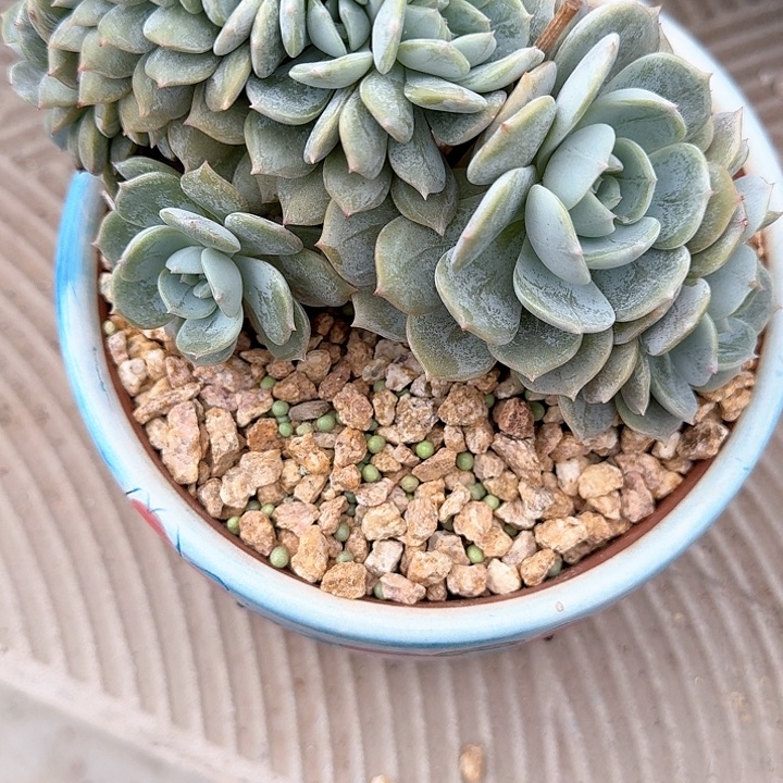 让****儿劳林缀劳林缀劳林缀