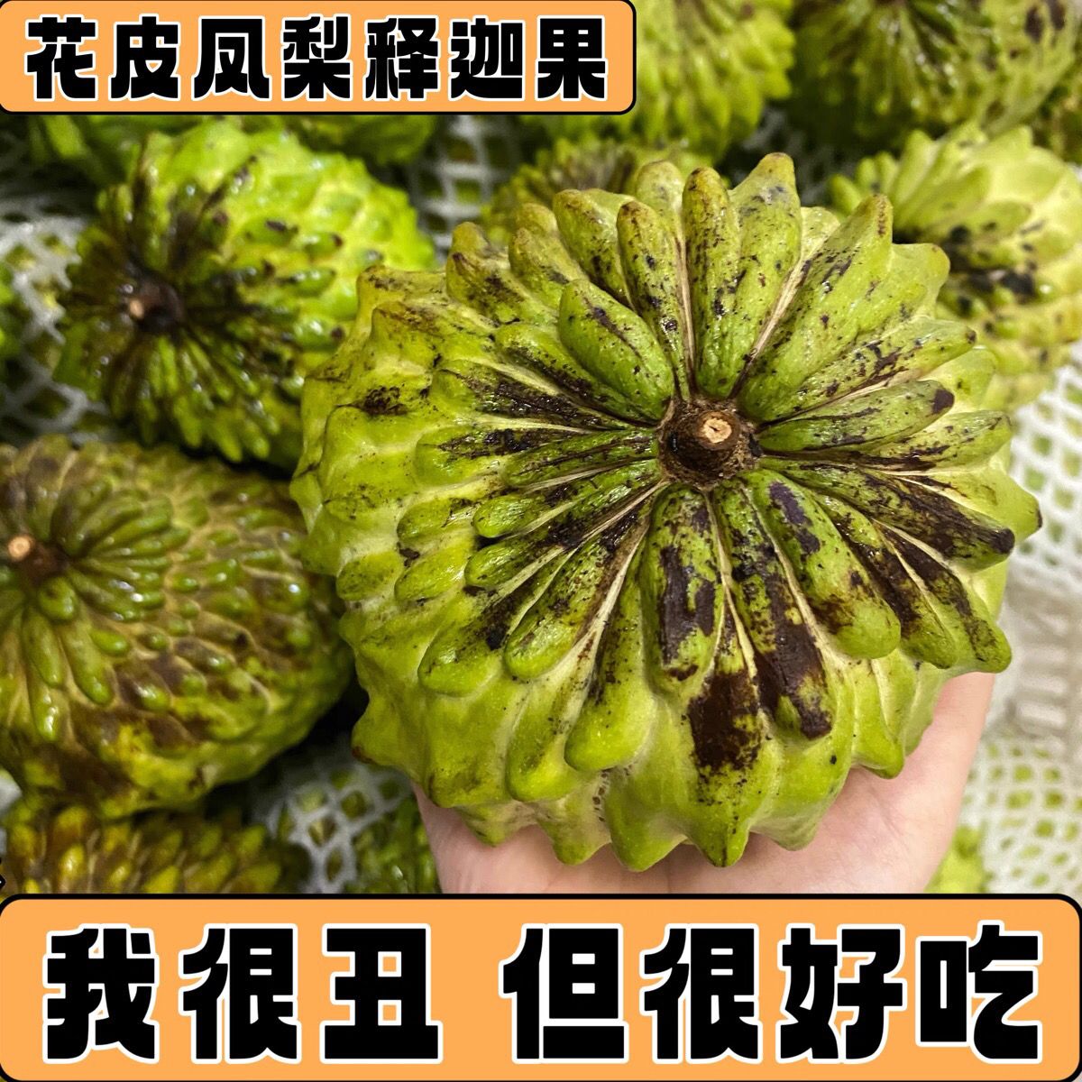 【花皮释迦果特价】释迦果生果番荔枝果佛头果新鲜采摘广西产地直发