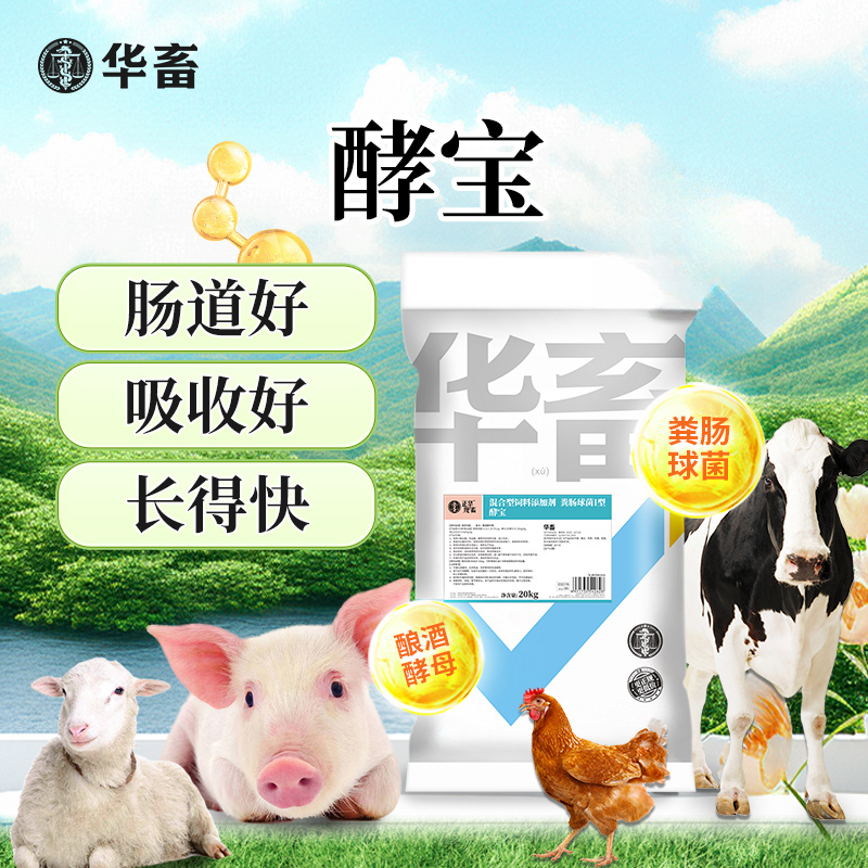 酵宝催肥长得快 调理肠胃诱食酵宝饲料华畜Z