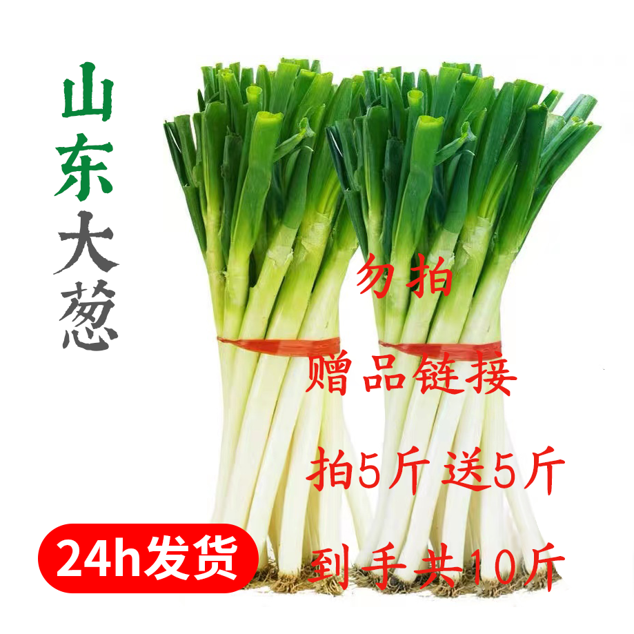 山东铁杆大葱现挖现发