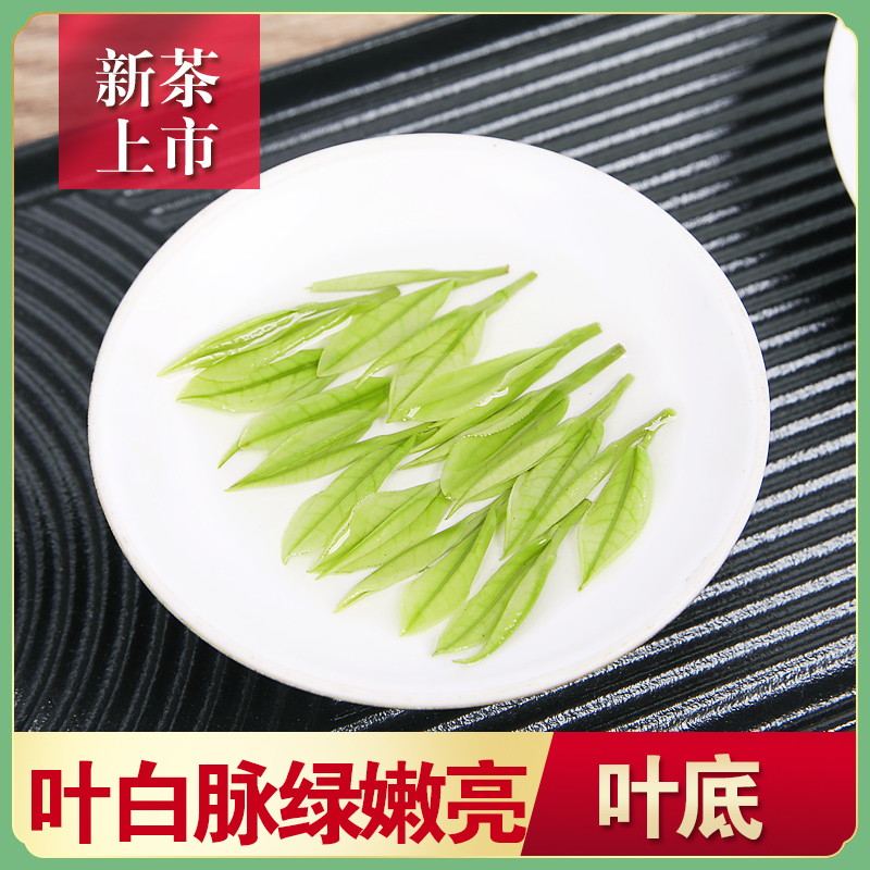 【1A】特级西坑白茶2025新茶春季采摘自产自销高山茶叶绿茶半斤装