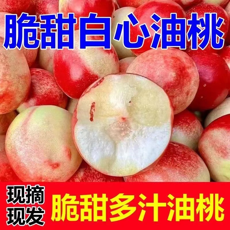平谷大桃脆甜离核白油桃，新鲜采摘5斤装包邮严选