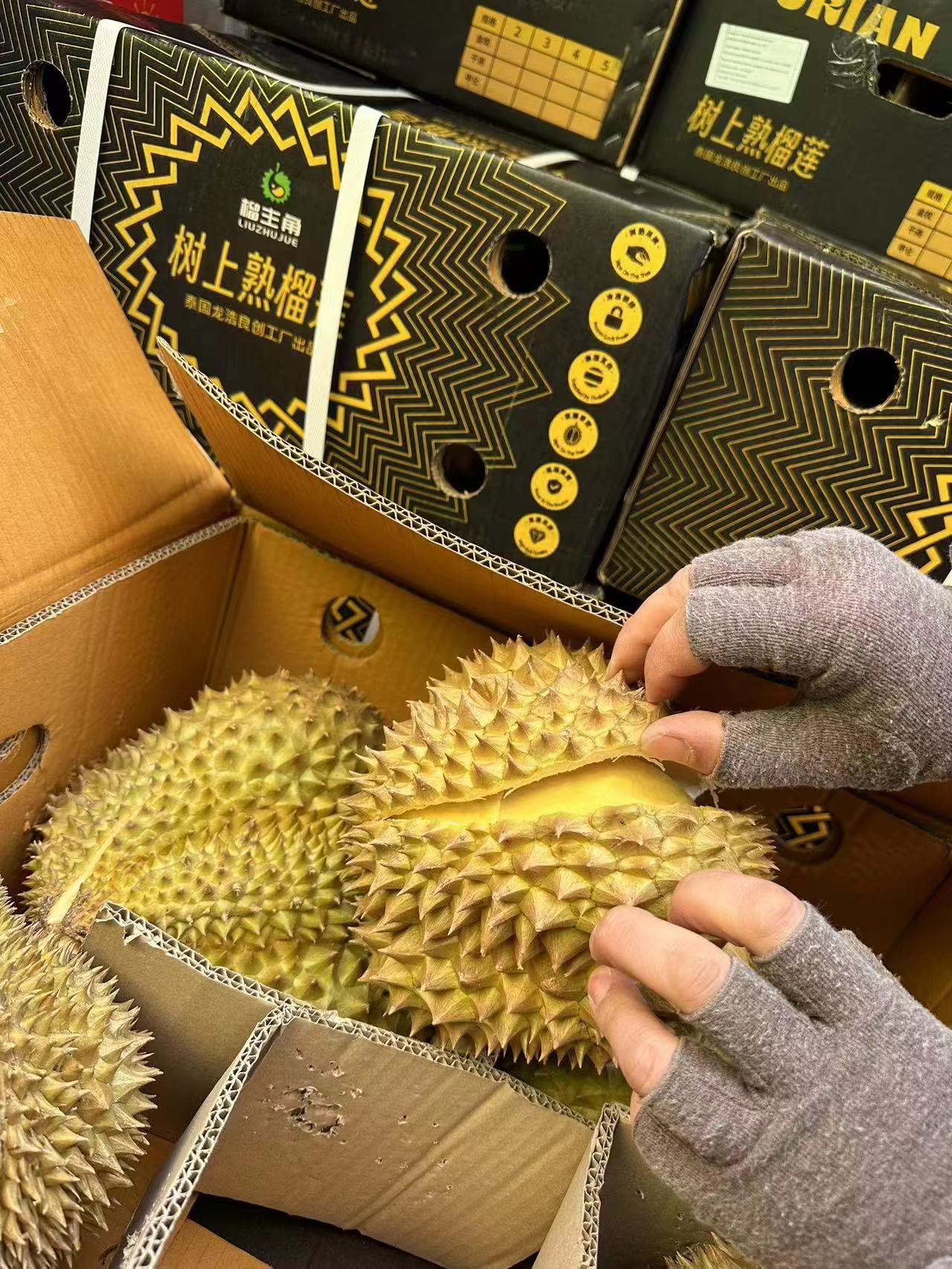 泰国金枕头树熟榴莲AB果【7-8斤·同城到家】