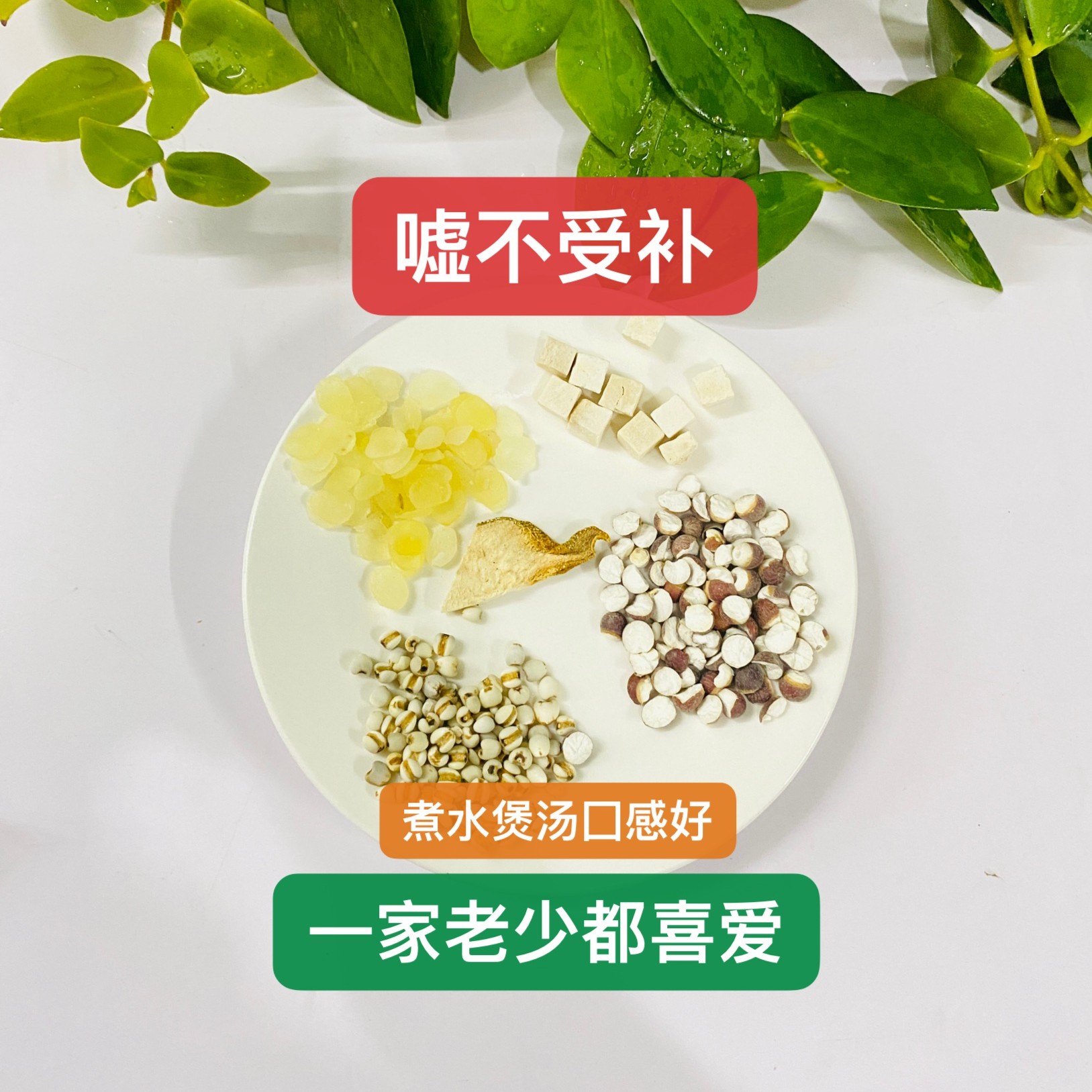 百淘岷农熊哥推荐 嘘不受补汤包