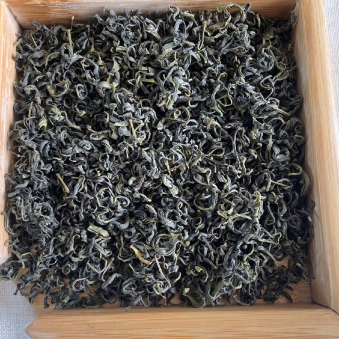 崂山绿茶2025年9月中旬卷曲茶 滚筒工艺 浓郁