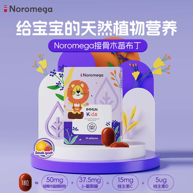 挪威Noromega接骨木莓布丁36片/盒