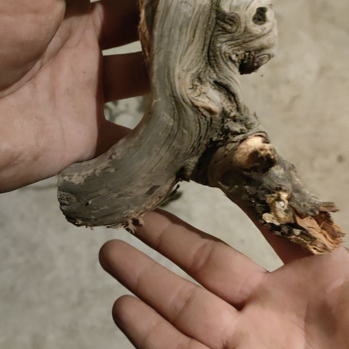 【闪购商品】崖柏道****步