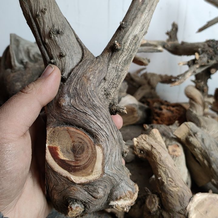 【闪购商品】崖柏只***甲