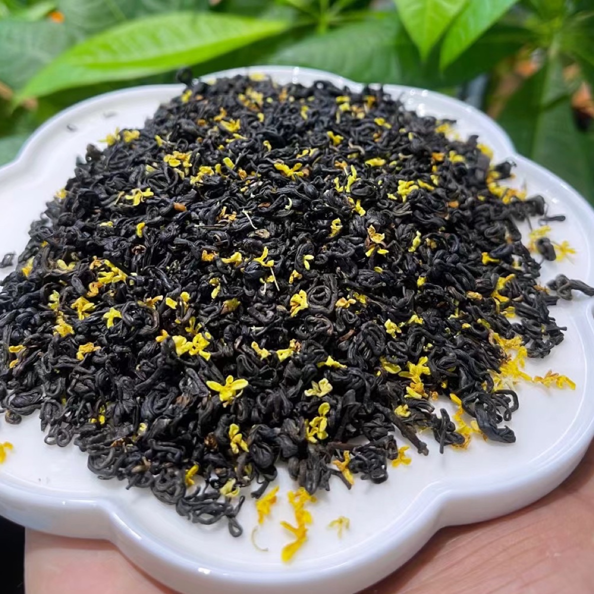 祁门红茶（桂花香螺- GH2000）茶为骨，三分桂花甜七分红茶香 