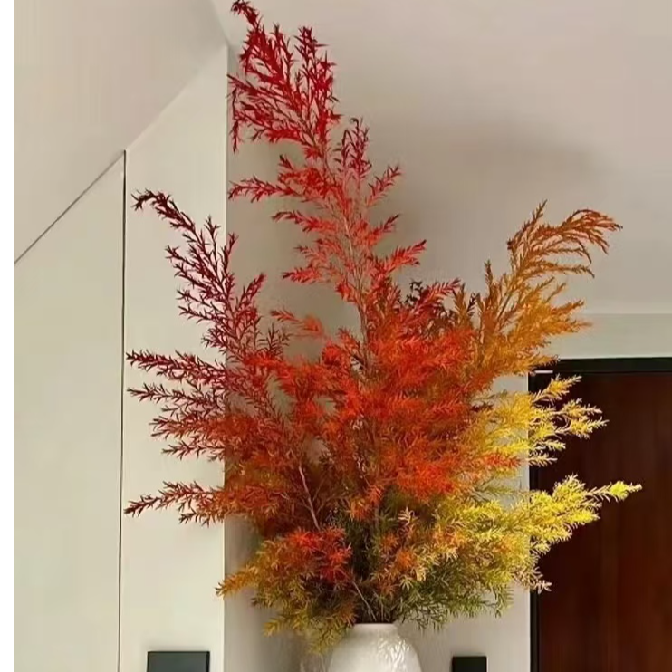 【千层金】可做干花-鲜花