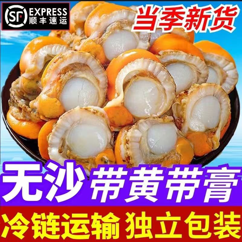 【顺丰包邮】新鲜海捕无沙带黄带膏扇贝肉4袋（500g/袋）