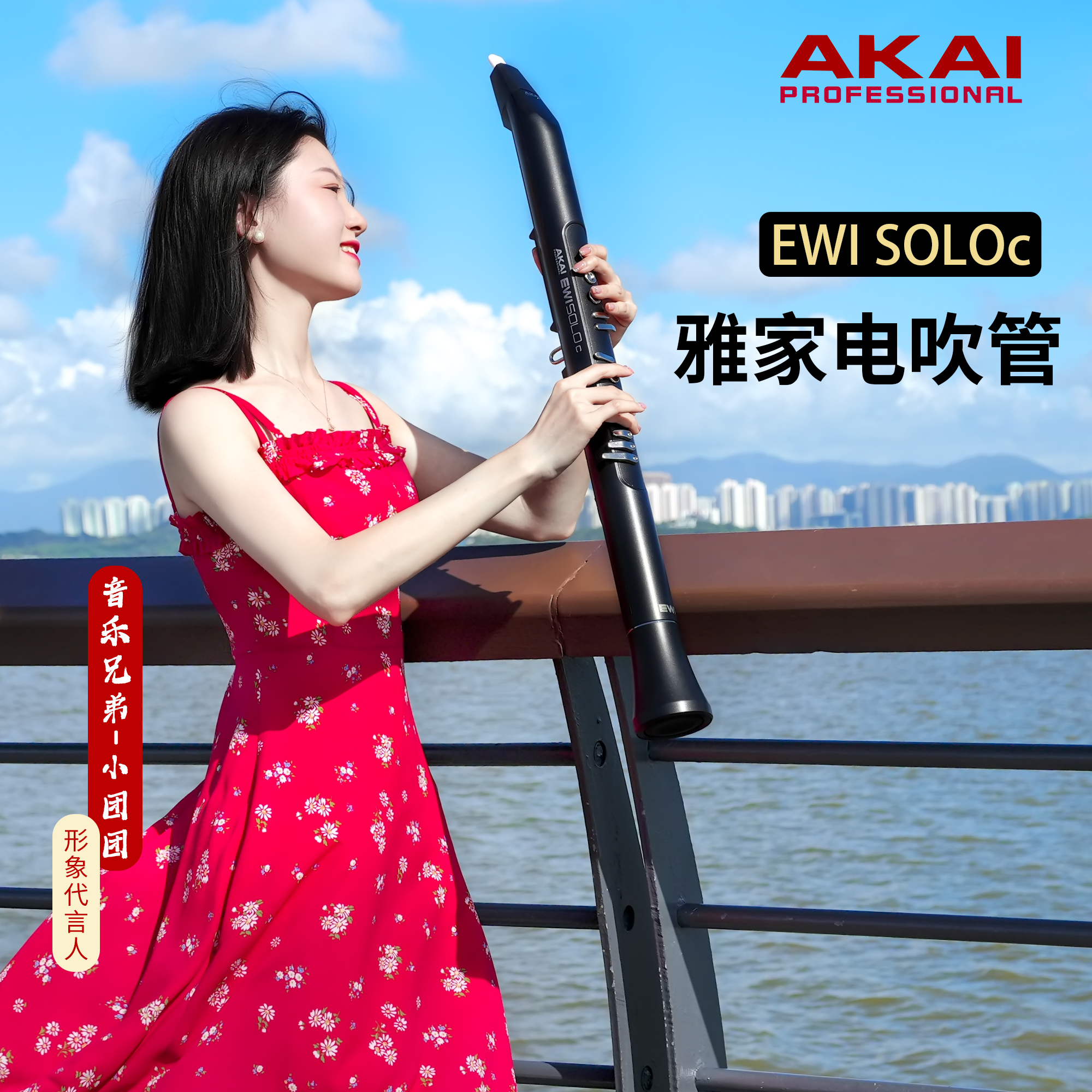 雅家soloc电吹管