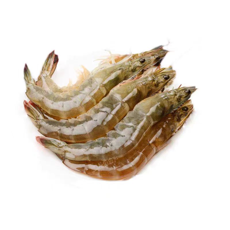 【胖姐海鲜】鲜活纯高盐汪子虾【保鲜不保活】