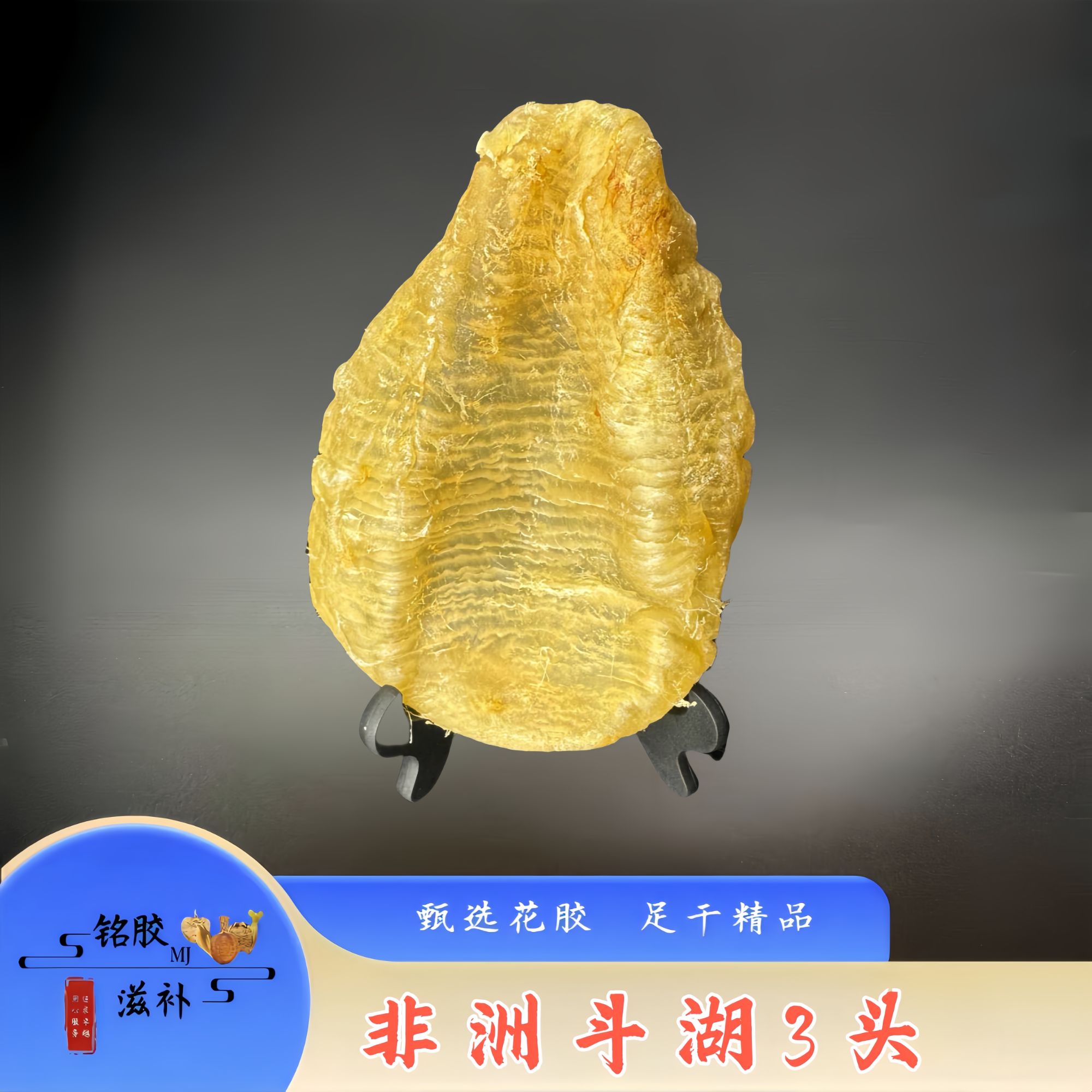 铭胶滋补 干花胶系列斗湖胶3头