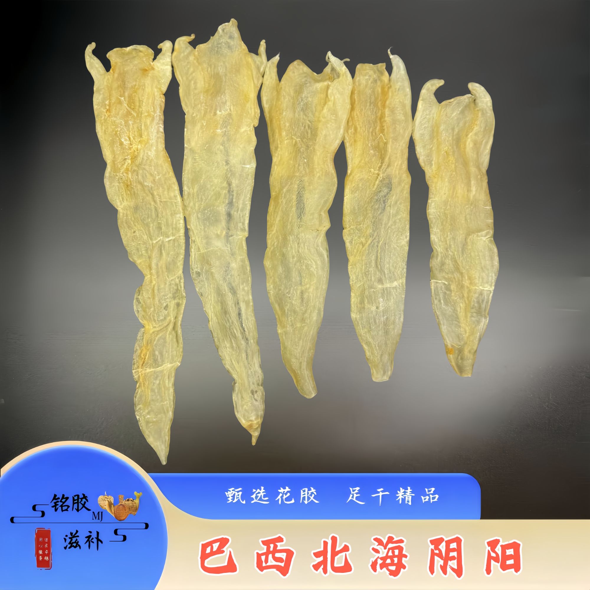 铭胶滋补 干花胶系列北海阴阳胶11头