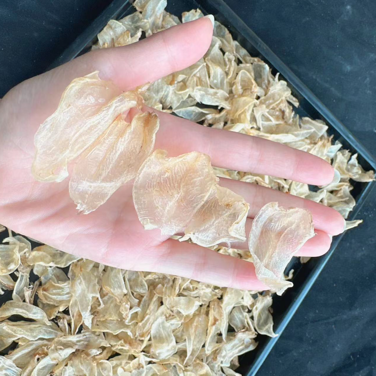 野生白花胶鱼胶腥淡公母胶开片白花胶250g足干正岛690-730头