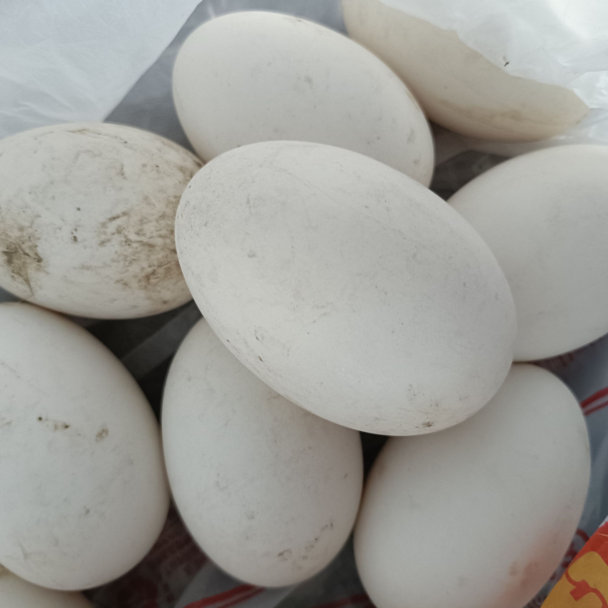 当涂农家散养鹅蛋