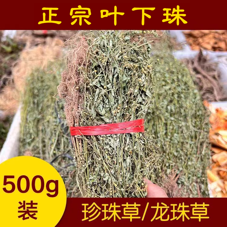 福建闽清雨晴农产品叶下珠 珍珠草整颗带根500g晒干