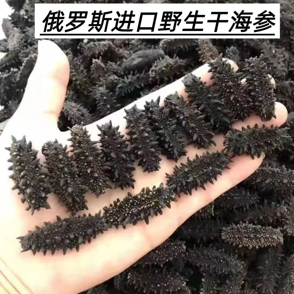 纯俄罗斯进口干海参【正品正品正品】批发200头100头实惠装