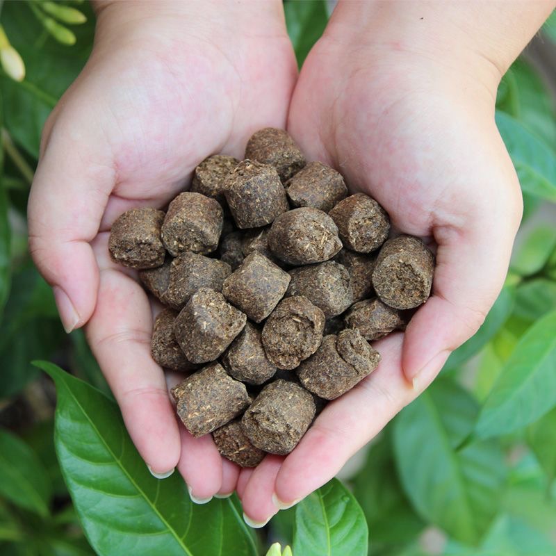 进口玉肥 盆景专用肥 盆景直播间