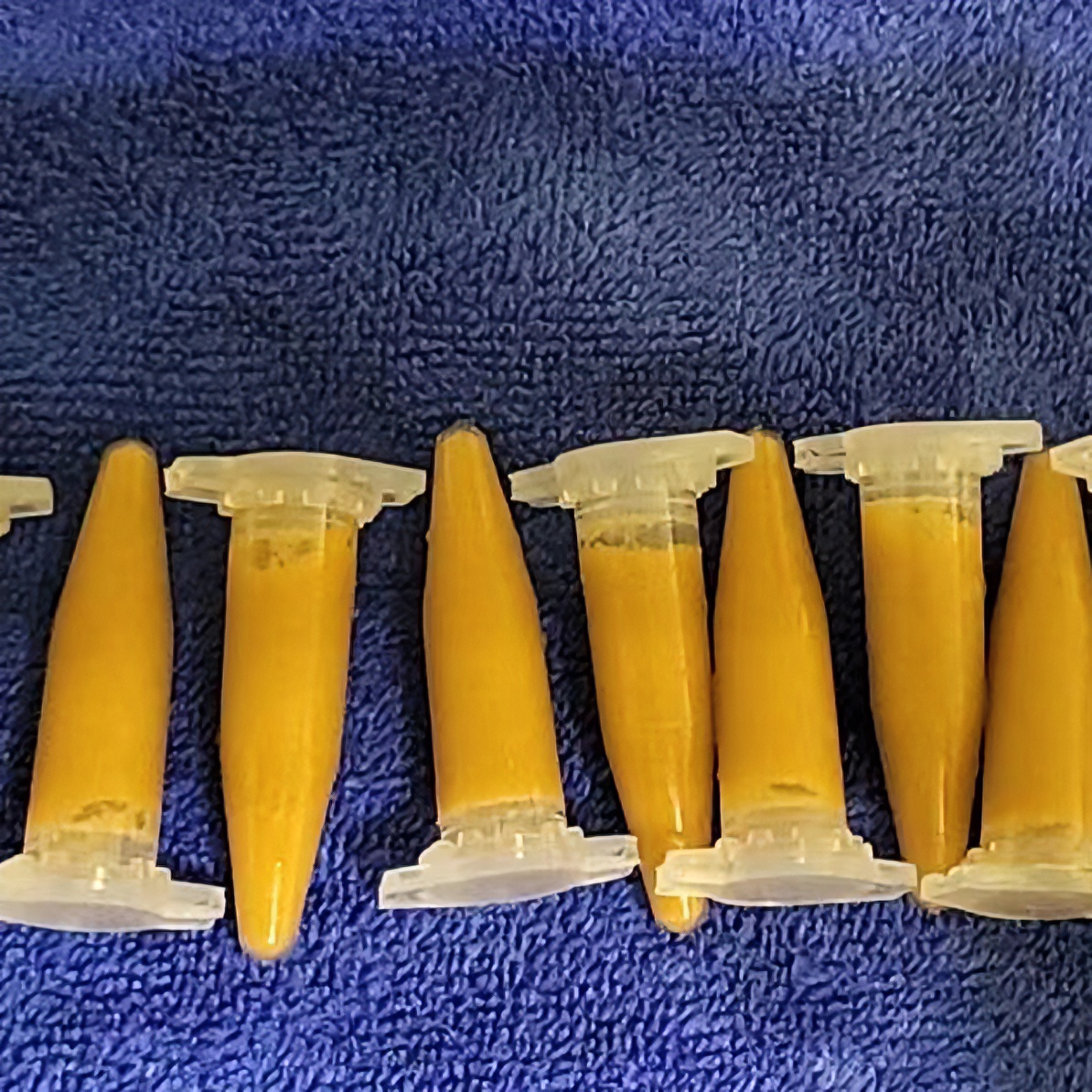 冷冻丰年虾卵观赏鱼开口饲料（包邮）孔雀鱼