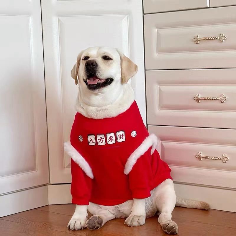 拉布拉多新年过年喜庆秋冬季保暖狗狗衣服中大型犬金毛萨摩耶卫衣