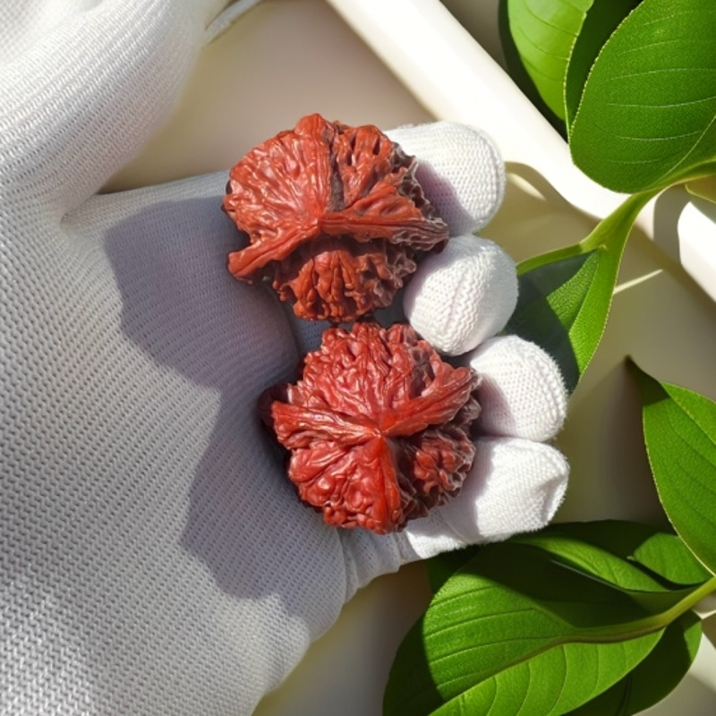 核桃三棱玉化牛津红成品35尺