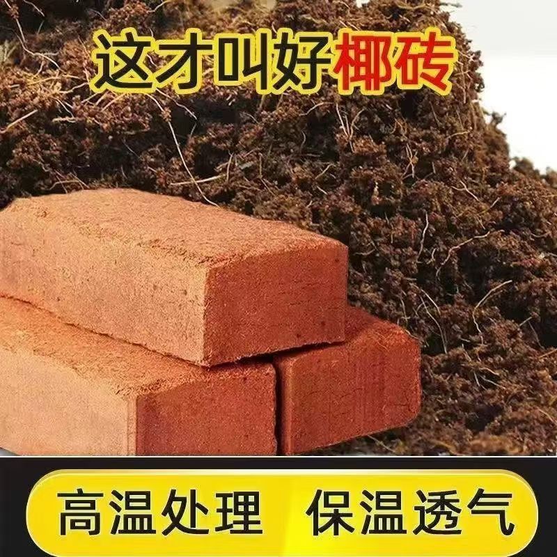 椰砖椰土营养土通用型养花种花百合郁金香风信子等专用