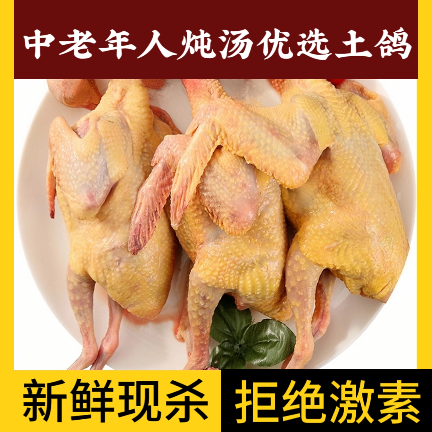 新鲜鸽子现杀顺丰农家散养乳鸽生鲜非老鸽子直播间卖货鸽子肉鸽汤