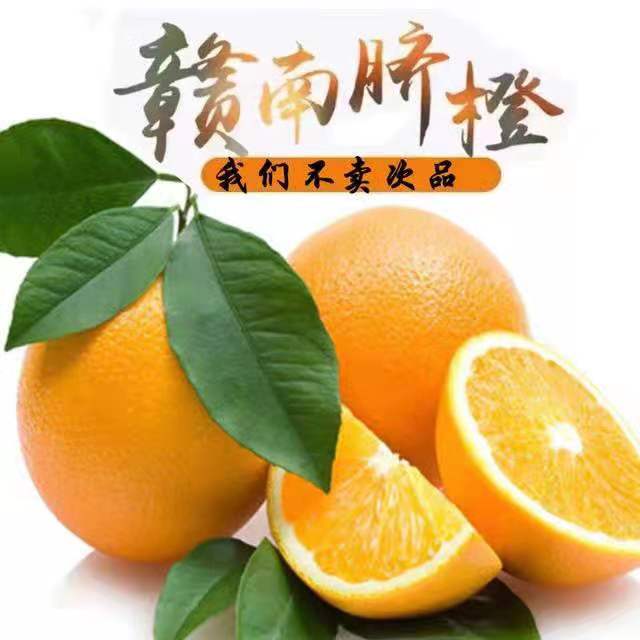 赣南脐橙赣南脐橙自然成熟真实产地直发包邮到家新闻当季皮薄橙子