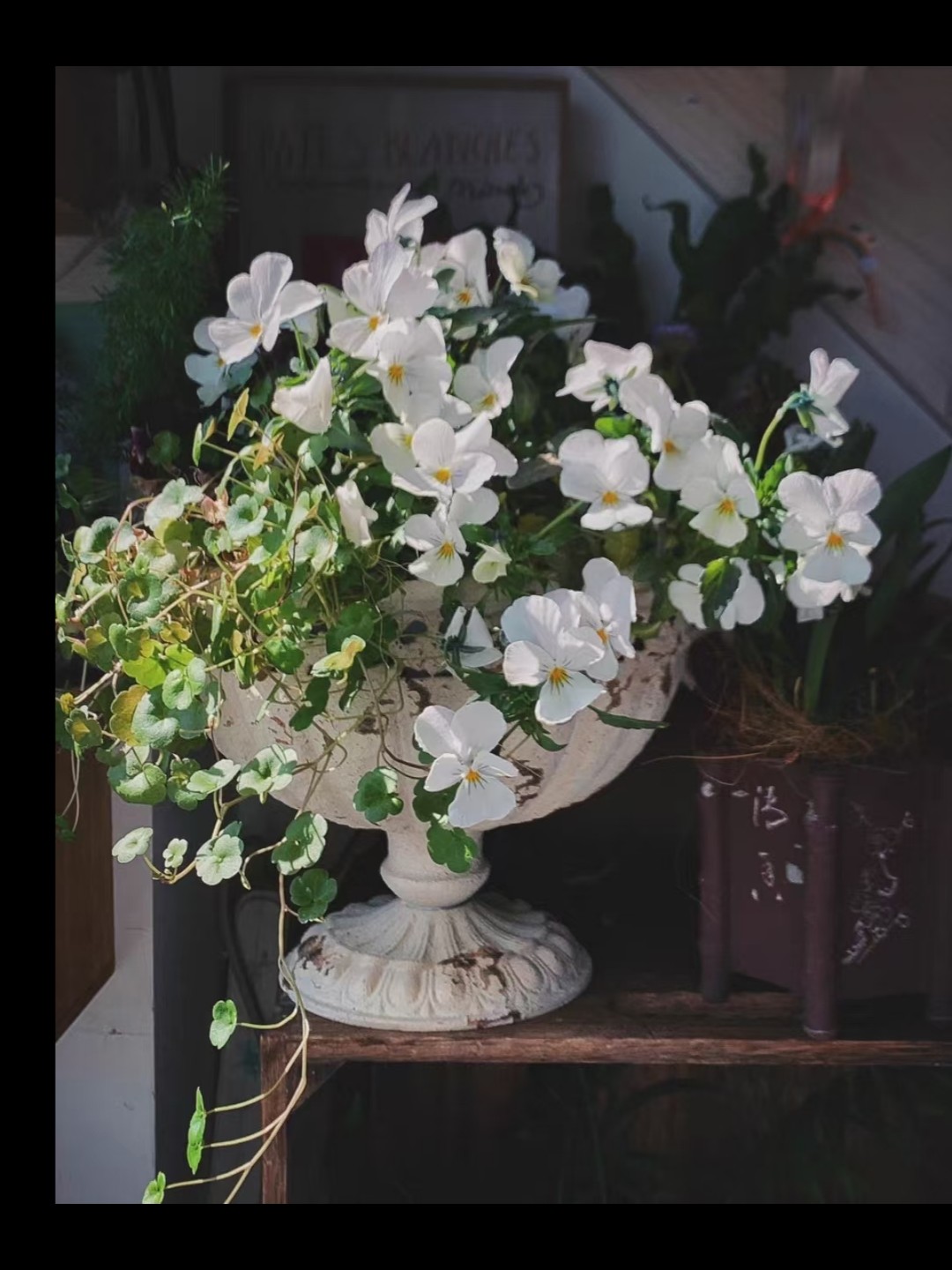 铁艺复古花盆高脚花盆铁艺花盆高脚30*23*18要打孔需备注默认无孔