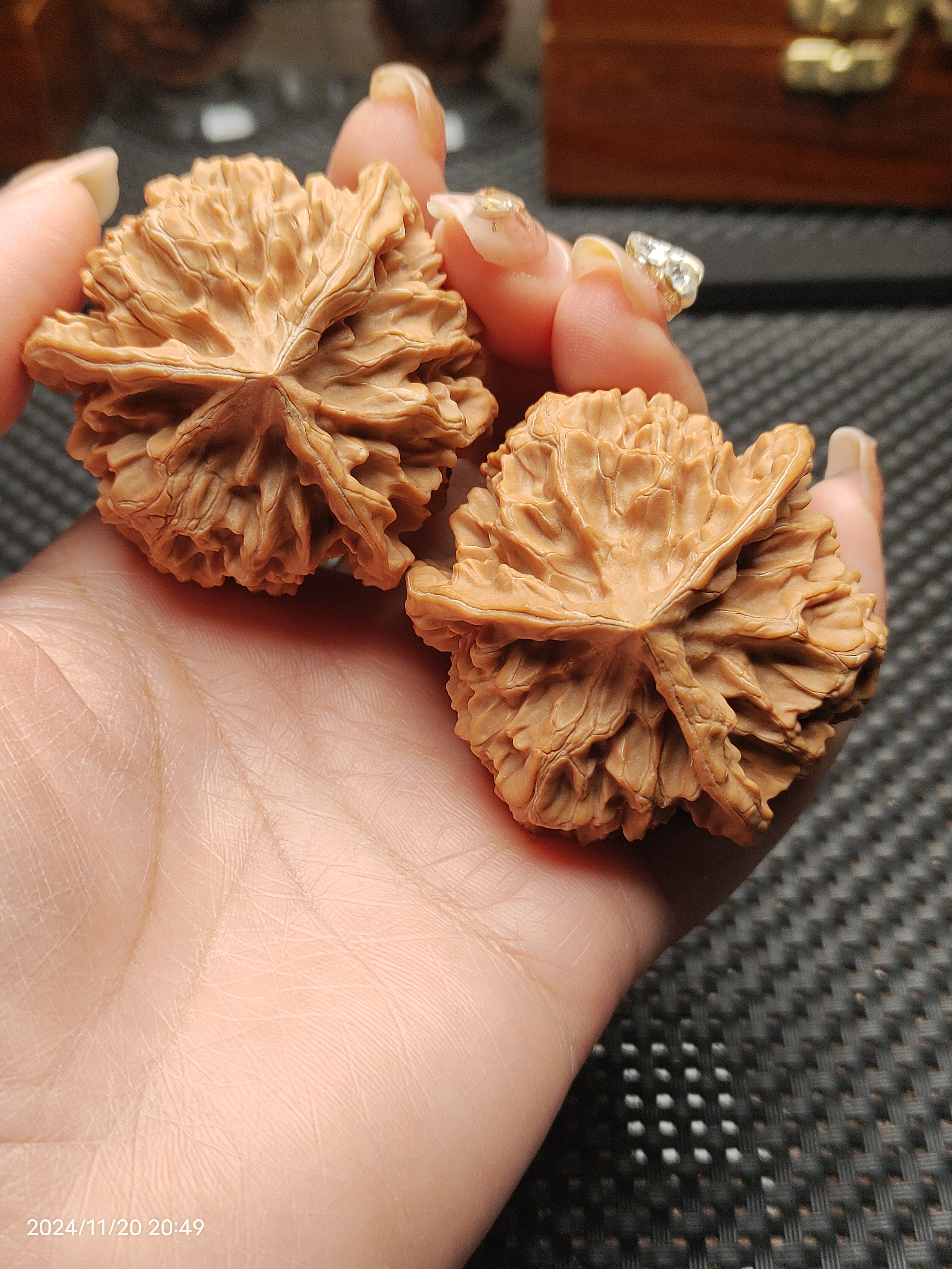 文玩核桃51尺寸全品大帝王正奔