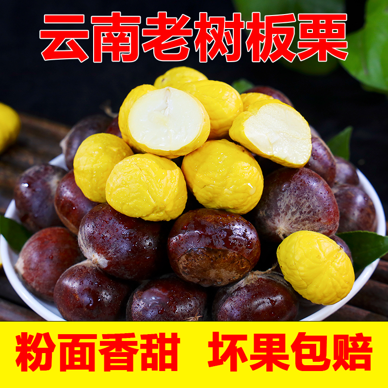 云南老品种毛栗子现摘现发头茬栗子新鲜板栗好剥皮很粉面香糯