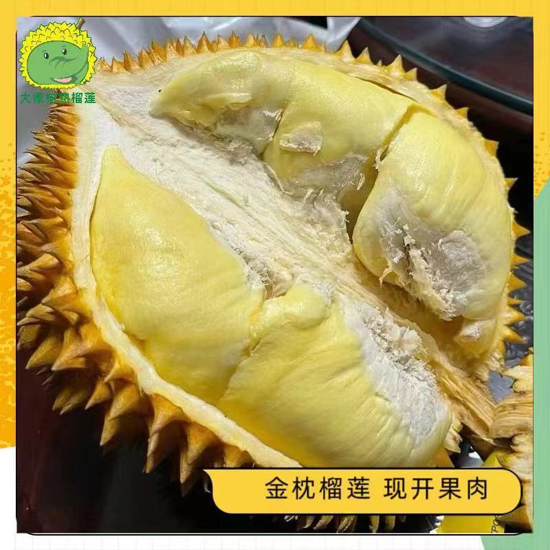 【龙岗2】纯果肉（1.2斤） 金枕榴莲 新鲜现开 深圳小时达【大象树熟榴莲】