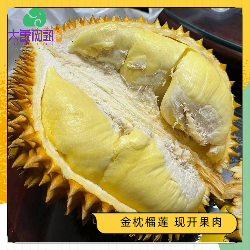 【福田】【官方补贴】上市启航 纯果肉（1斤） 金枕榴莲新鲜现开 深圳小时达【大象树熟榴莲】