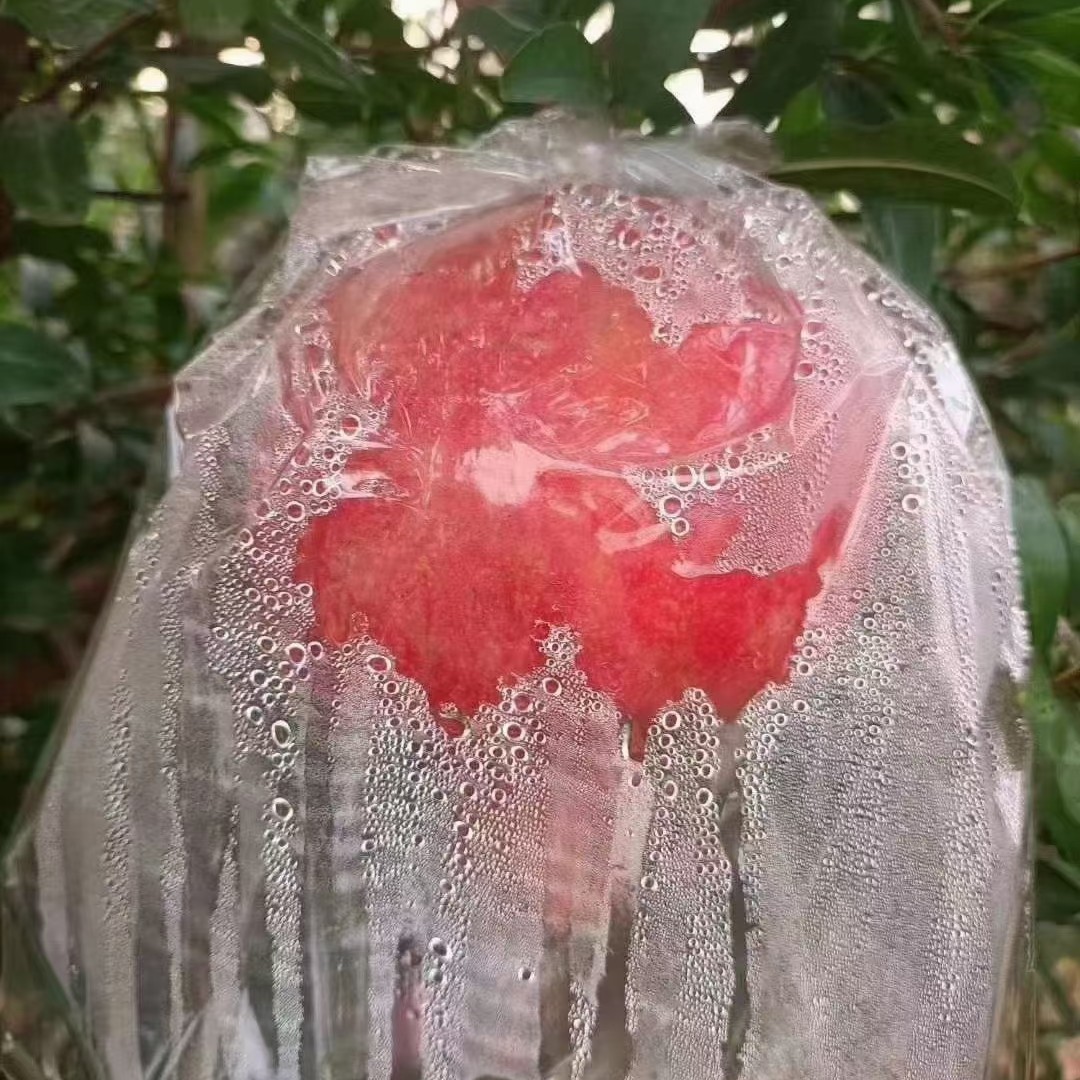 酸石榴，纯酸的，下单请慎重，12枚装一箱，单果7一8两，净重9斤