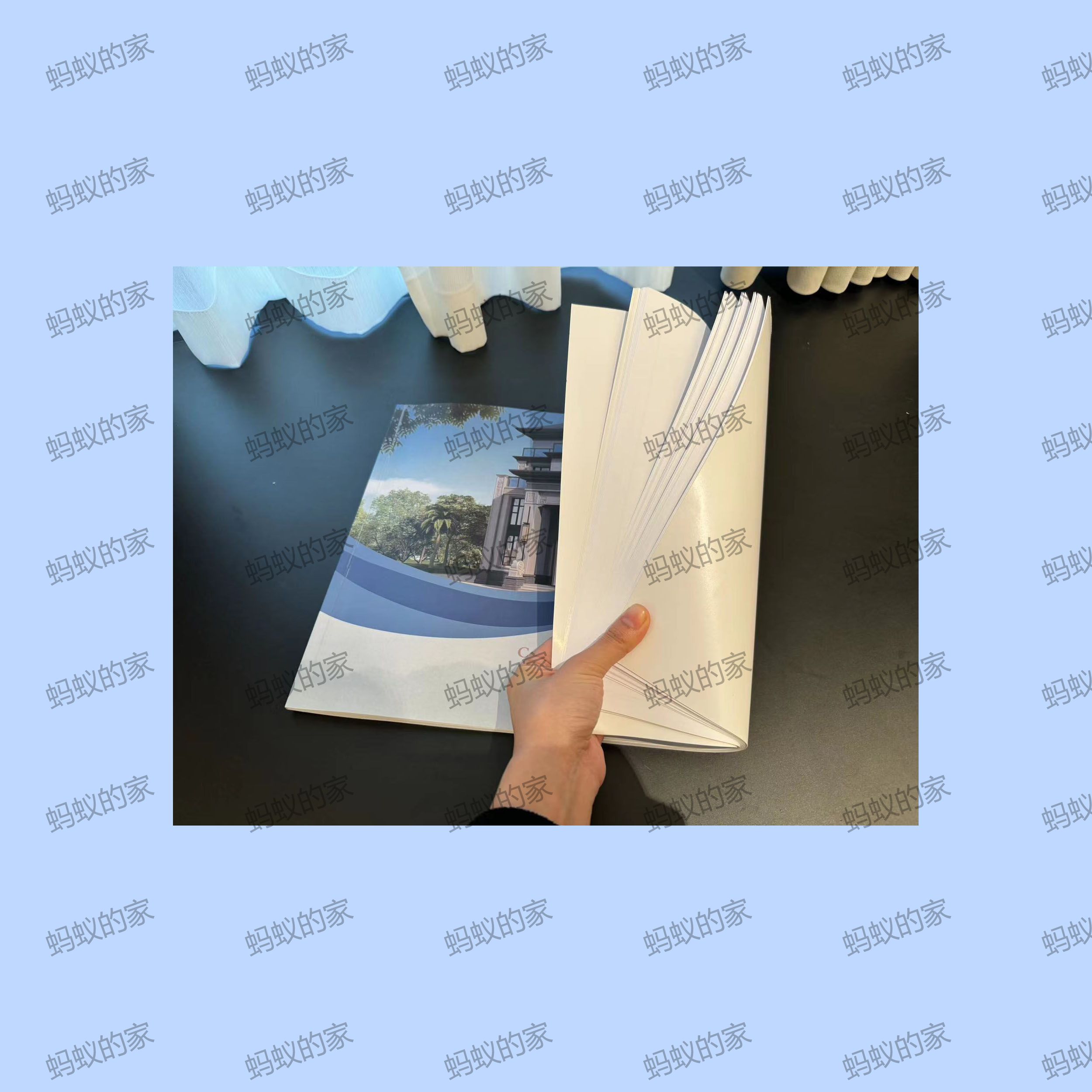 蚂蚁的家效果图建施图结施图施工图图纸画册版