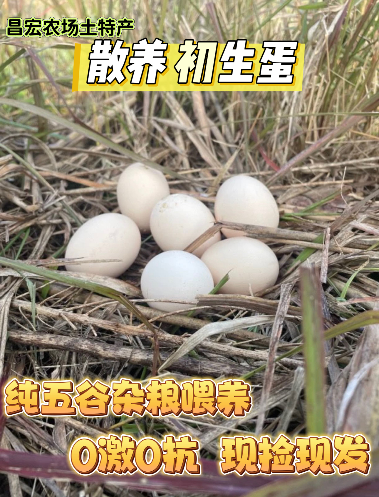 【初生蛋】高山散养40枚初生蛋4斤左右农场直发 绿色生态 五谷喂养
