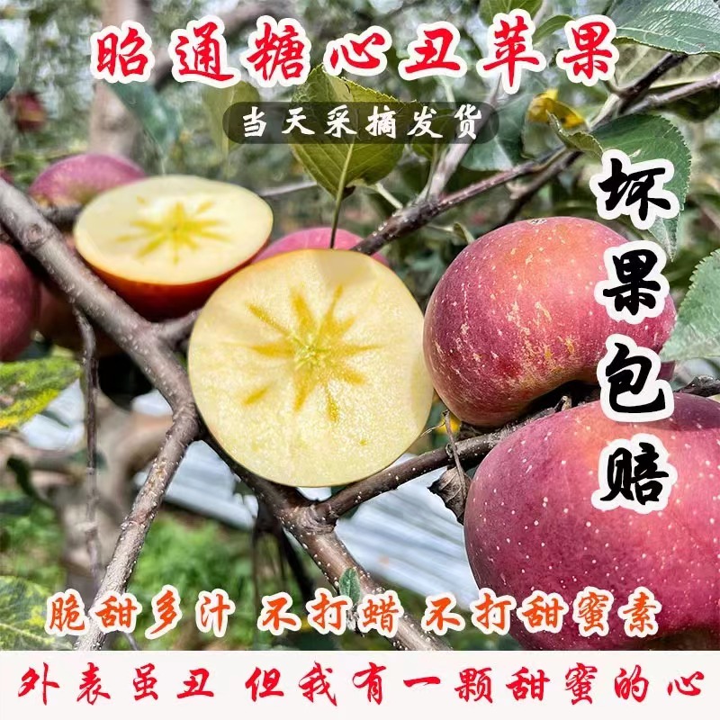 昭通冰糖心丑苹果 红富士脆甜多汁新鲜自家果园新鲜现摘