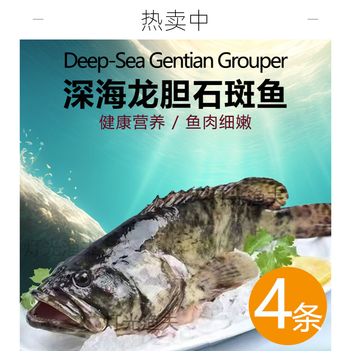 4斤共4条龙胆石斑鱼 活鱼速冻非活发（不帮杀）单条约8两-1.2斤左右